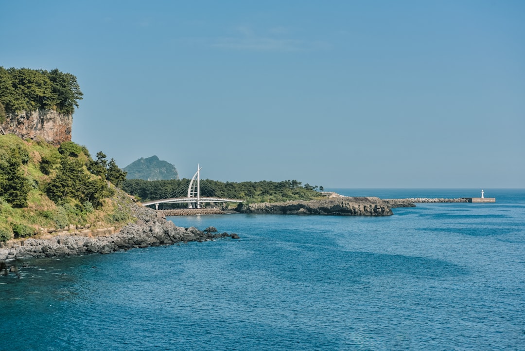 울산 대왕암공원 출렁다리와 동해 기암괴석 전경