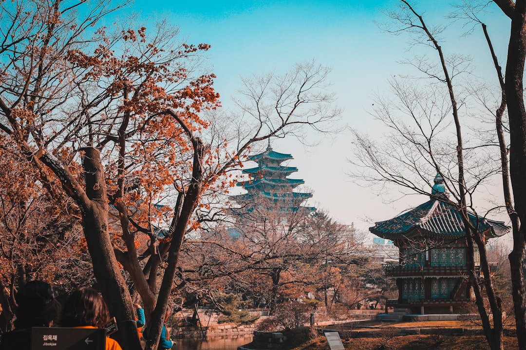 경주 불국사 청운교와 신라 석조 계단 전경